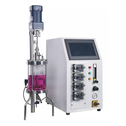 cam enzim reaktörü