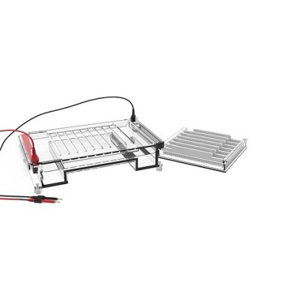 yüksek verimli yatay elektroforez hücresi